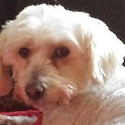 Slove a rejoint le concours — aidez-le/la à gagner de superbes lots !