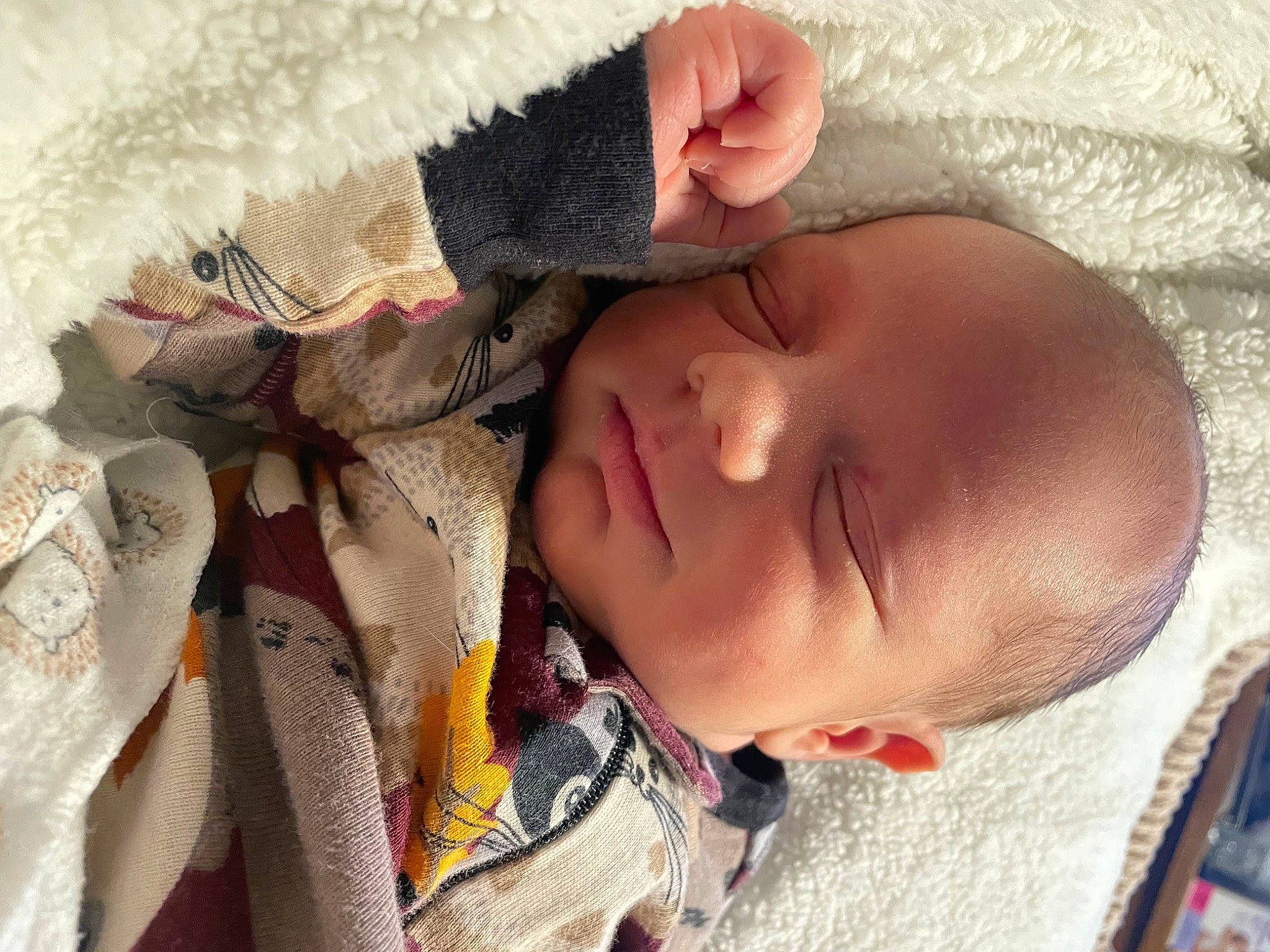 Trinidad joined the competition — help win amazing prizes! baby, baby_sleeping, cheek, comfort, ear, eye, eyebrow, eyelash, face, finger, head, human_body, lip, mouth, nose, person, plant, skin, textile, toddler