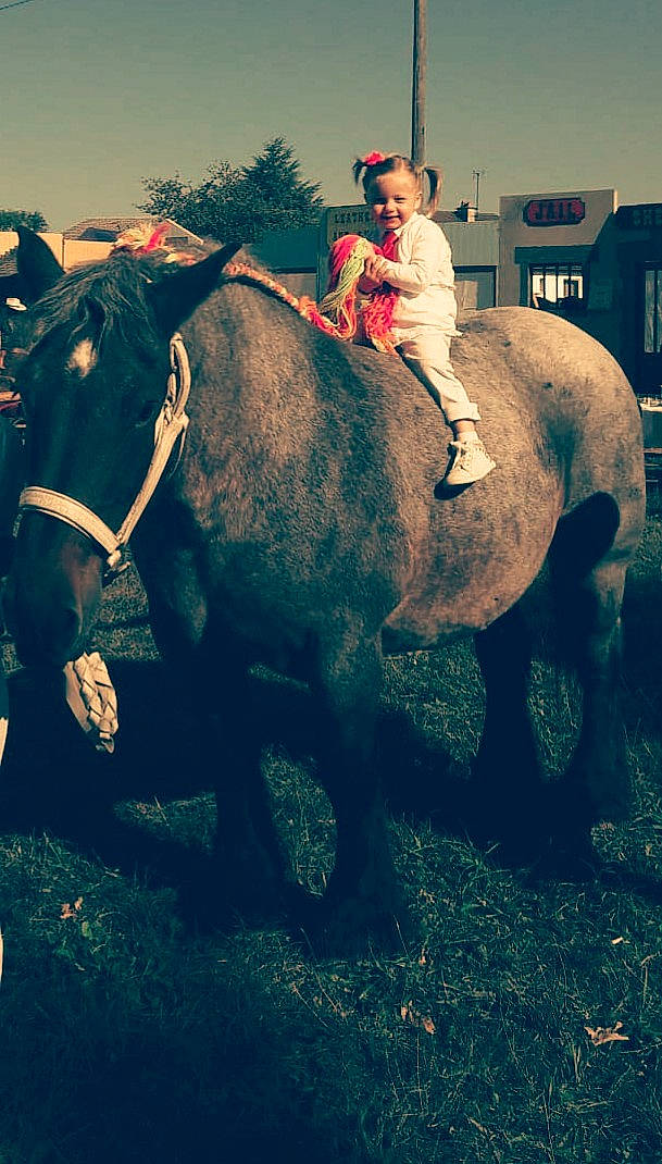 Voltige participe au concours pour gagner de l'argent avec cette photo : fun, grass, green, joy, mammal, person, plant, sky, tree, vertebrate