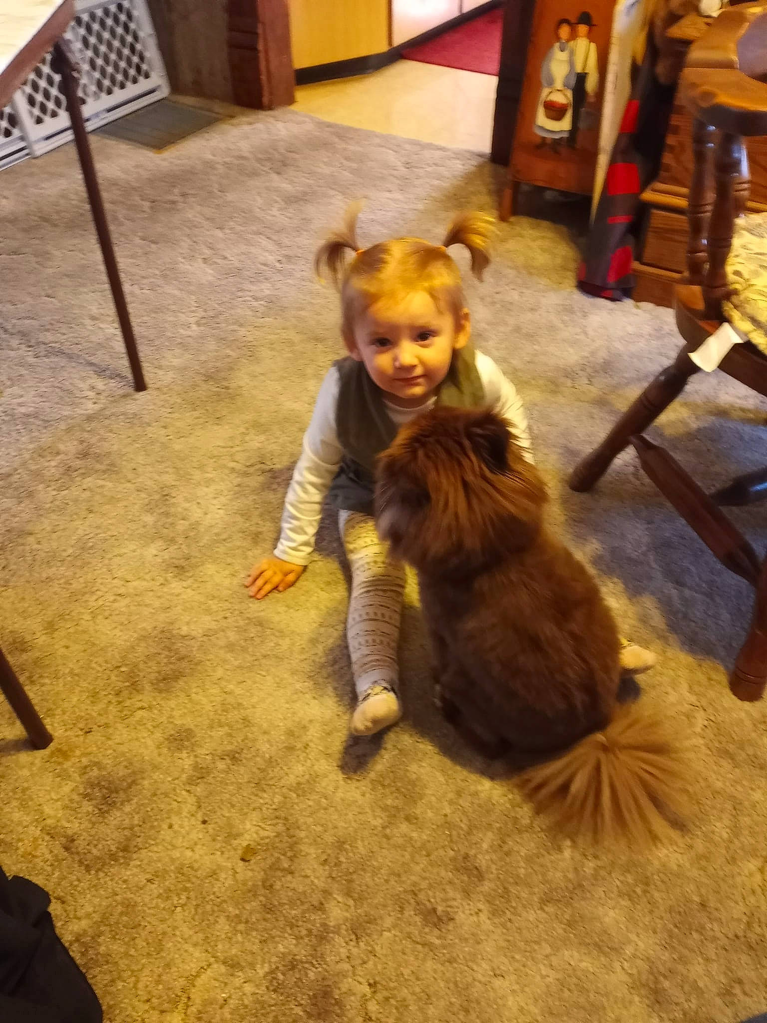 Harlow is registered to the contest to win money with this photo: chair, child, companion_dog, costume, fawn, floor, flooring, fun, fur, happy, hardwood, leisure, person, picture_frame, play, room, sitting, smile, tail, toddler