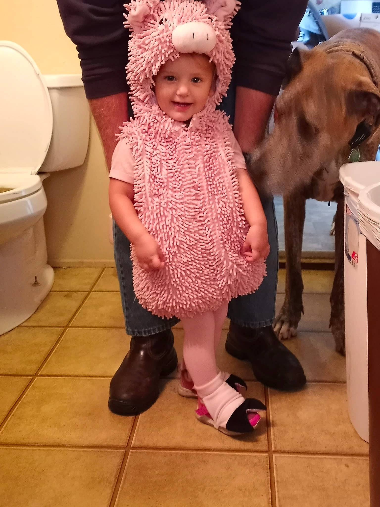 Harlow joined the competition — help win amazing prizes! bathroom, box, child, companion_dog, dog_breed, fashion_accessory, flooring, fun, fur, happy, headwear, human_leg, joy, leg, magenta, person, pink, plumbing, plumbing_fixture, toddler