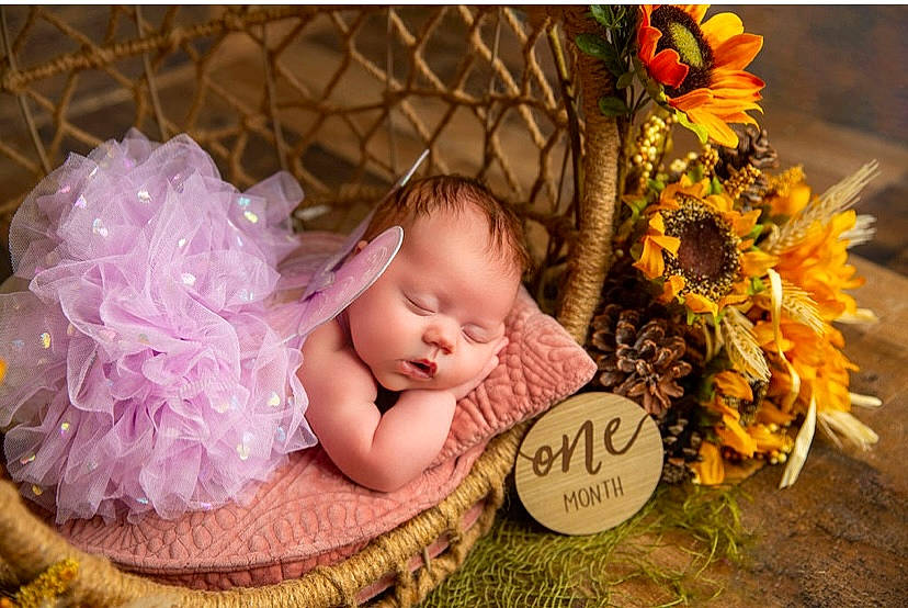 Andrea is registered to the contest to win money with this photo: baby, baby_products, baby_toddler_clothing, basket, child, fashion_accessory, flower, flower_arranging, grass, happy, hat, headgear, headpiece, person, petal, plant, sitting, sun_hat, sunflower, toddler