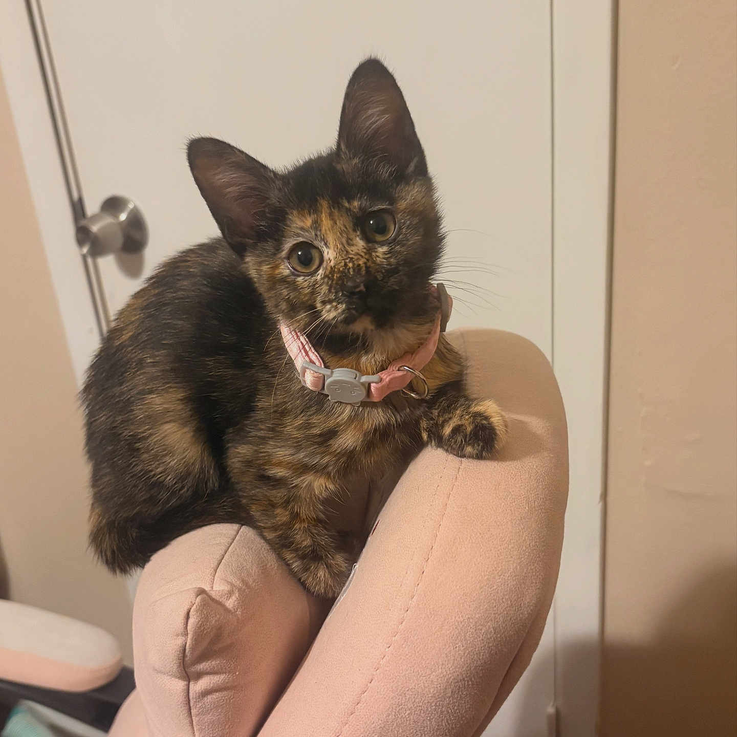 Cleopatra