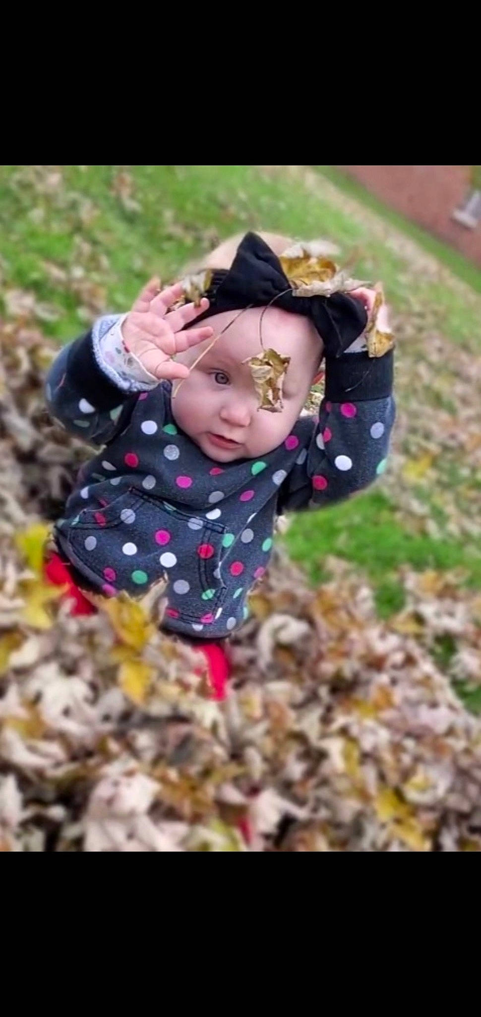 Emma joined the competition — help win amazing prizes! baby, baby_toddler_clothing, fashion_accessory, flower, grass, happy, hat, headwear, leaf, magenta, mammal, nature, pattern, people_in_nature, person, petal, pink, plant, soil, sun_hat