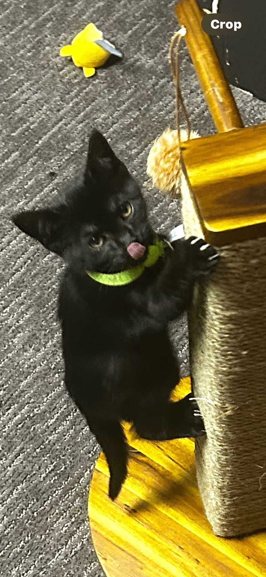 Luna