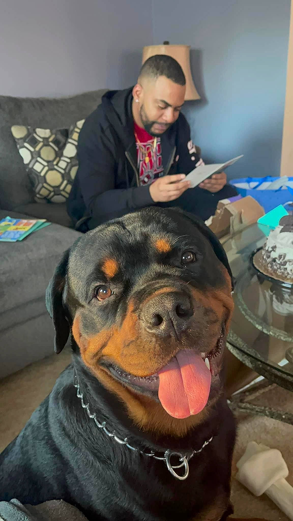 Echo is registered to the contest to win money with this photo: carnivore, comfort, companion_dog, couch, dog, dog_breed, event, fawn, flooring, fur, giant_dog_breed, guard_dog, picture_frame, rottweiler, snout, sporting_group, tableware, tie, whiskers, working_animal