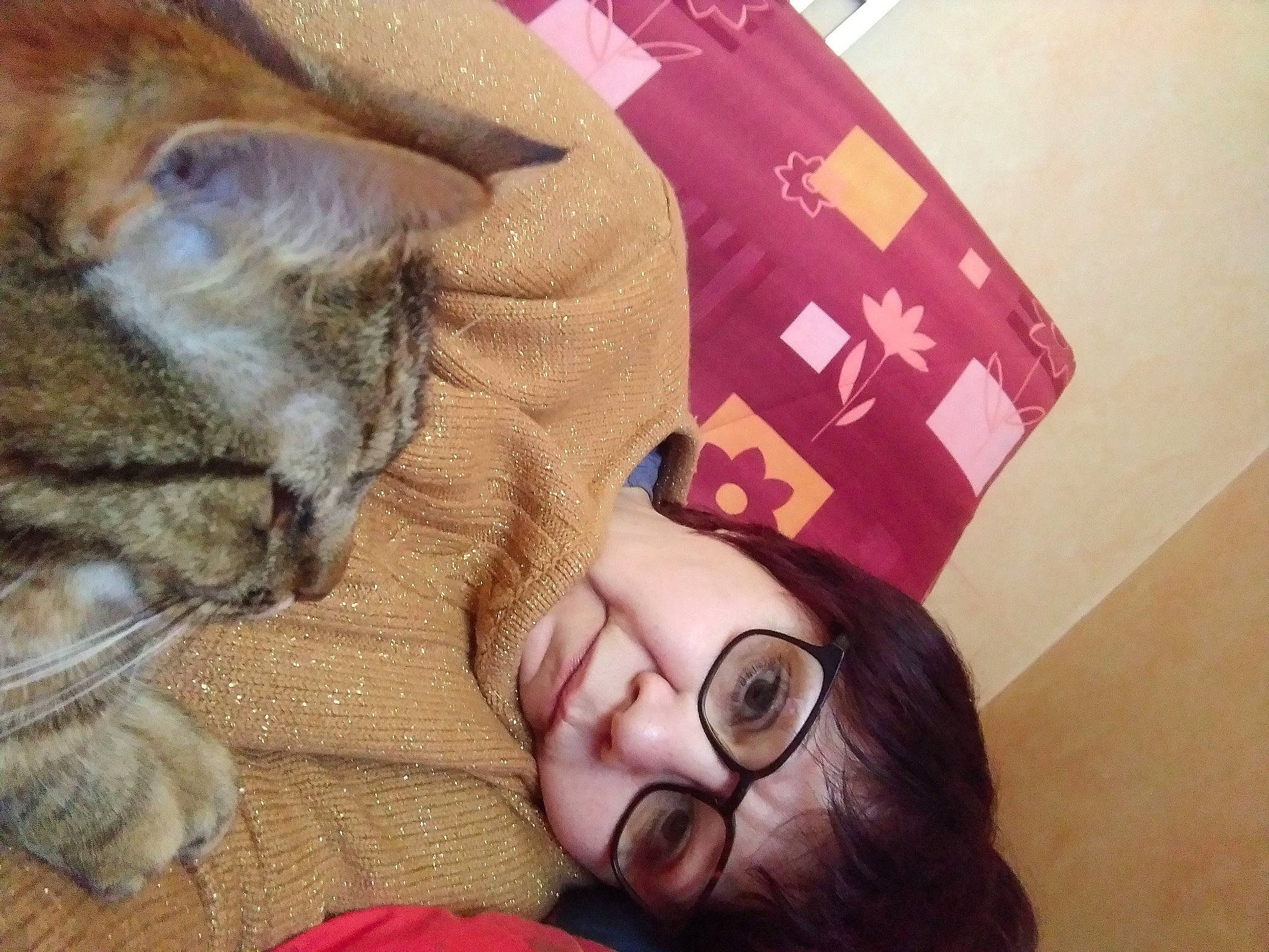 Swinna participe au concours pour gagner de l'argent avec cette photo : brown_hair, carnivore, cat, comfort, companion_dog, domestic_short_haired_cat, eyewear, facial_expression, fawn, felidae, fur, glasses, happy, lap, magenta, selfie, skin, small_to_medium_sized_cats, vision_care, whiskers