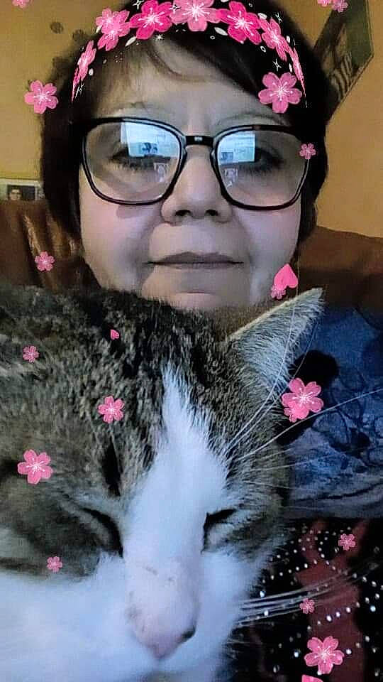 Felix participe au concours pour gagner de l'argent avec cette photo : cap, carnivore, cat, domestic_short_haired_cat, event, eyewear, fashion_accessory, felidae, fur, glasses, headgear, nose, pink, plant, skin, small_to_medium_sized_cats, snapshot, snout, vision_care, whiskers