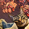 animal, art, background, cat, claws, closeup, colorful, curious, ears, eyes, fabric, face, feline, indoor, mural, painting, pet, portrait, tabby, whiskers