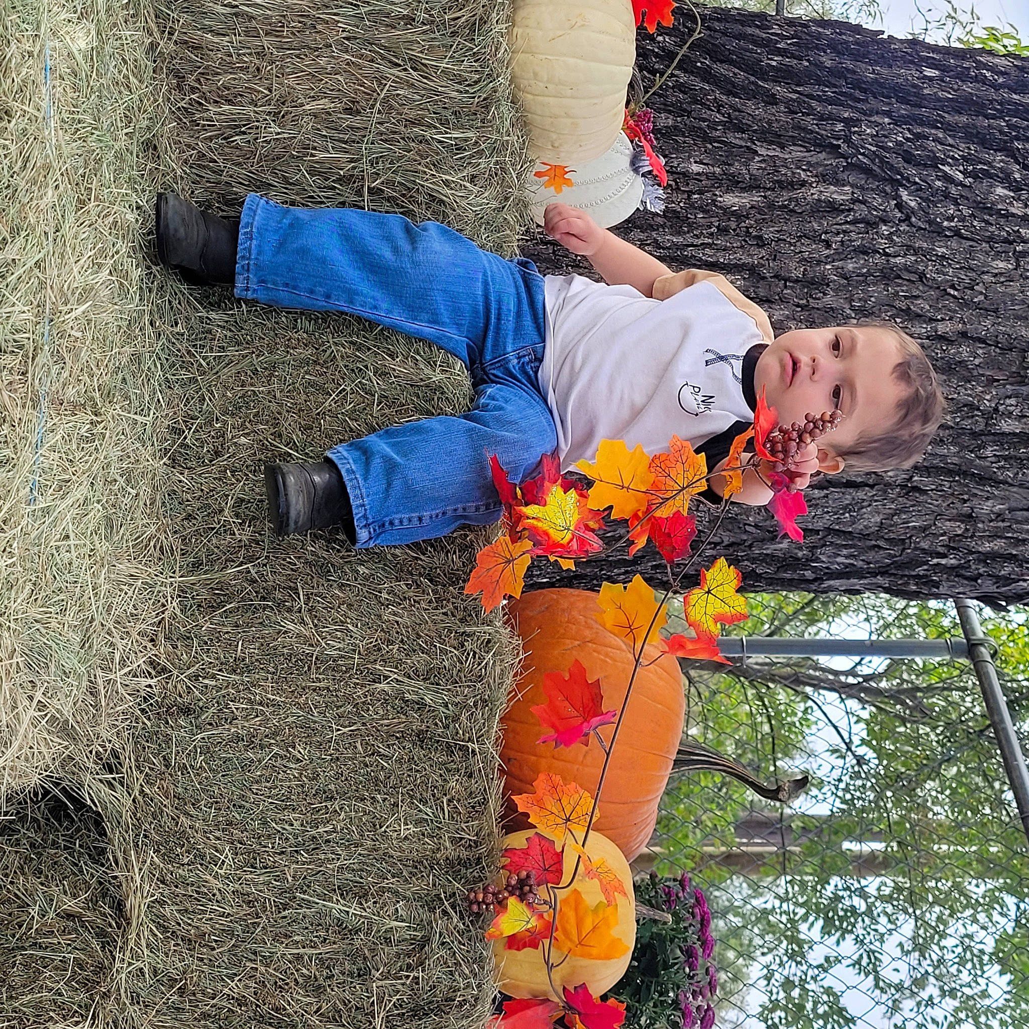 Archer joined the competition — help win amazing prizes! agriculture, fun, grass, happy, human_leg, landscape, leisure, people_in_nature, person, plant, recreation, shadow, soil, tree