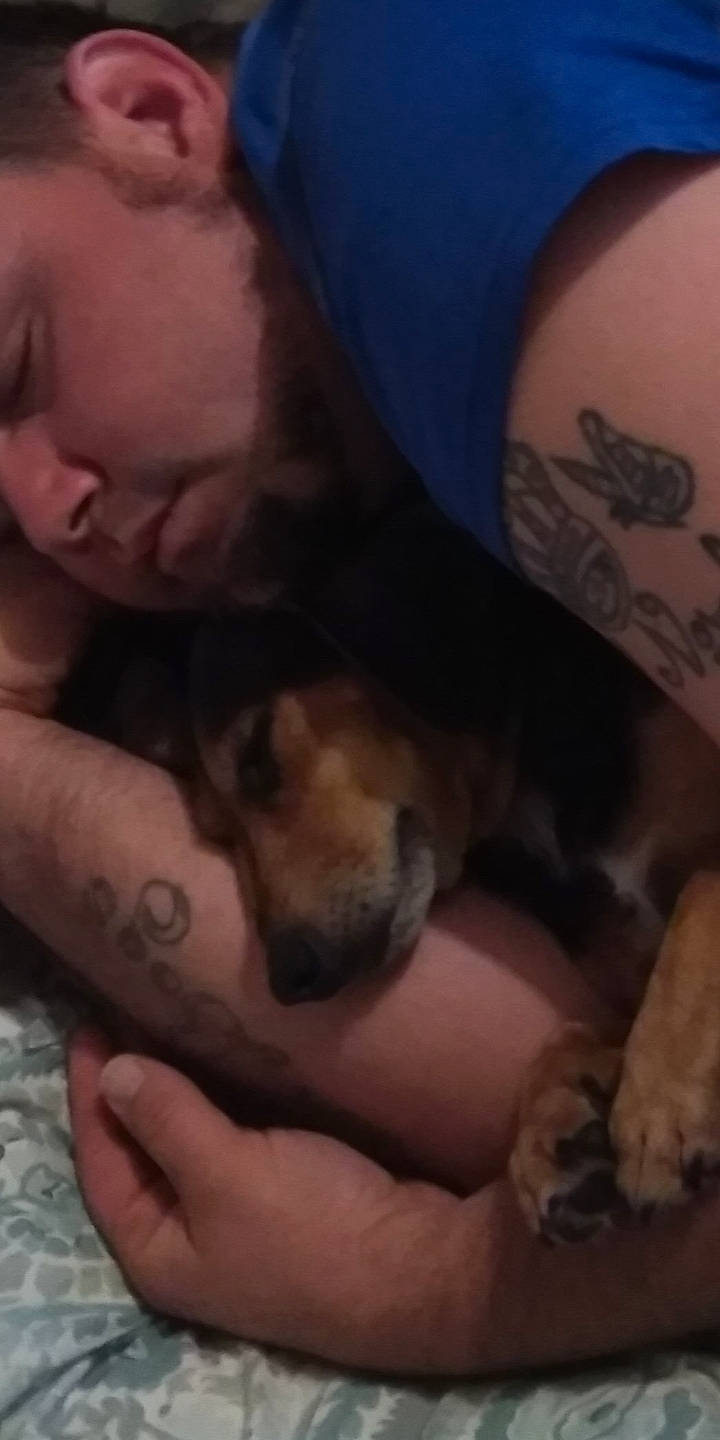 Ginger Horne is registered to the contest to win money with this photo: canidae, carnivore, child, dog, dog_breed, ear, hand, head, mouth, nap, nose, puppy, puppy_love, skin, sleep, snout, tattoo