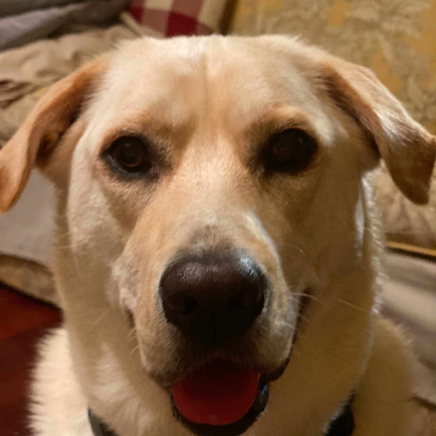 Charlie