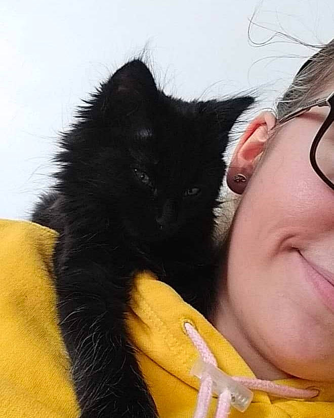 Pelote a rejoint le concours — aidez-le/la à gagner de superbes lots ! carnivore, cat, claw, comfort, ear, eyelash, eyewear, fashion_accessory, felidae, fur, gesture, happy, nose, selfie, skin, small_to_medium_sized_cats, smile, snout, vertebrate, whiskers