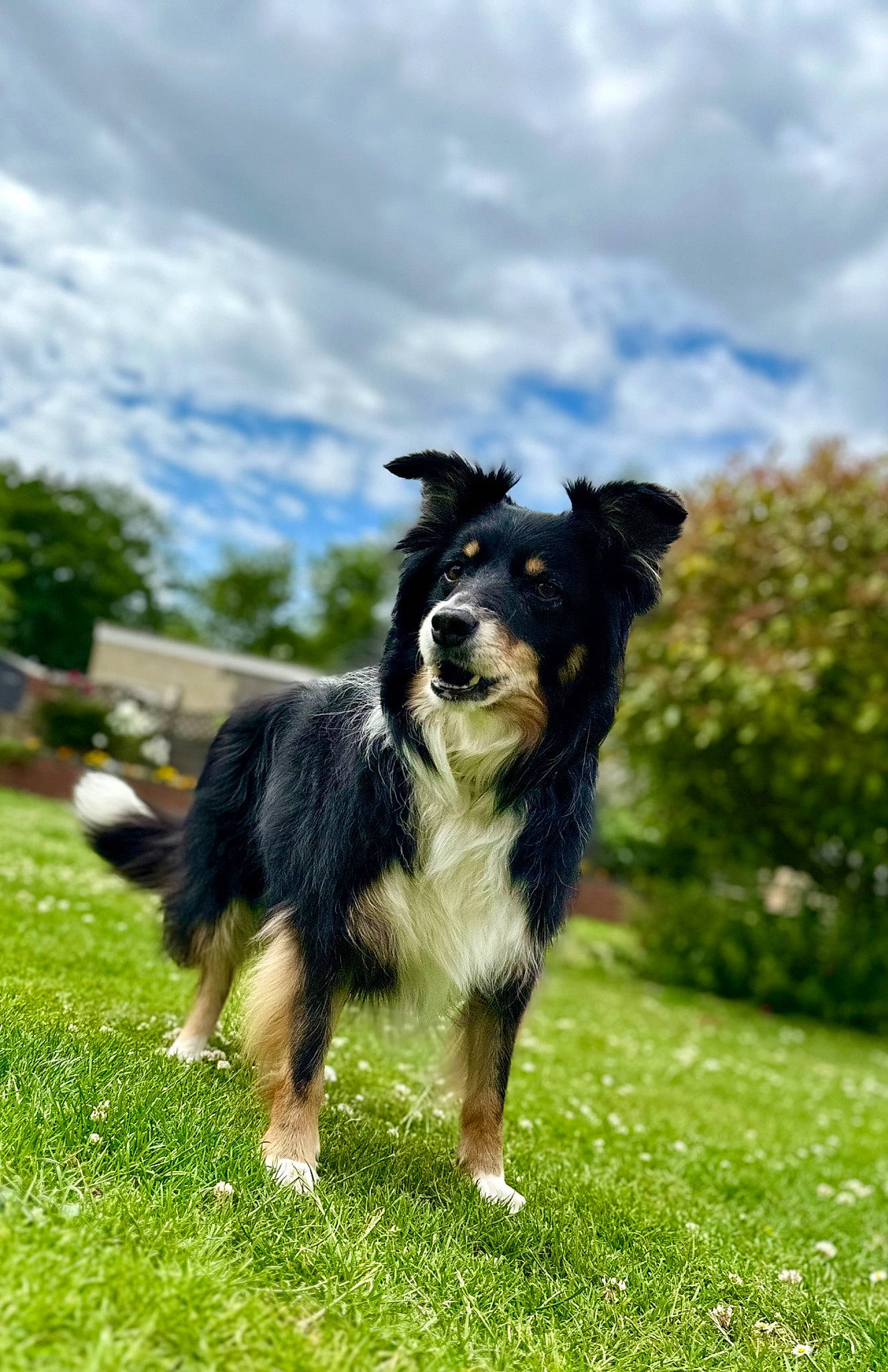 Skye