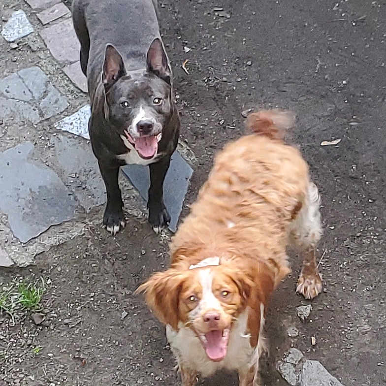 Sam