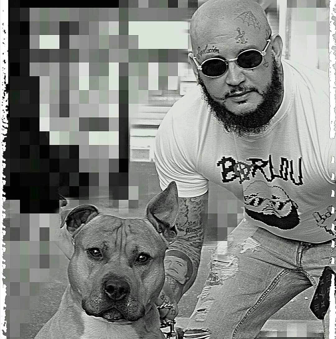 Ice a rejoint le concours — aidez-le/la à gagner de superbes lots ! american_pit_bull_terrier, american_staffordshire_terrier, black_and_white, bull_and_terrier, bulldog, canidae, carnivore, cool, cordoba_fighting_dog, dog, dog_breed, eyewear, mammal, molosser, muscle, non_sporting_group, pit_bull, snout, staffordshire_bull_terrier, sunglasses