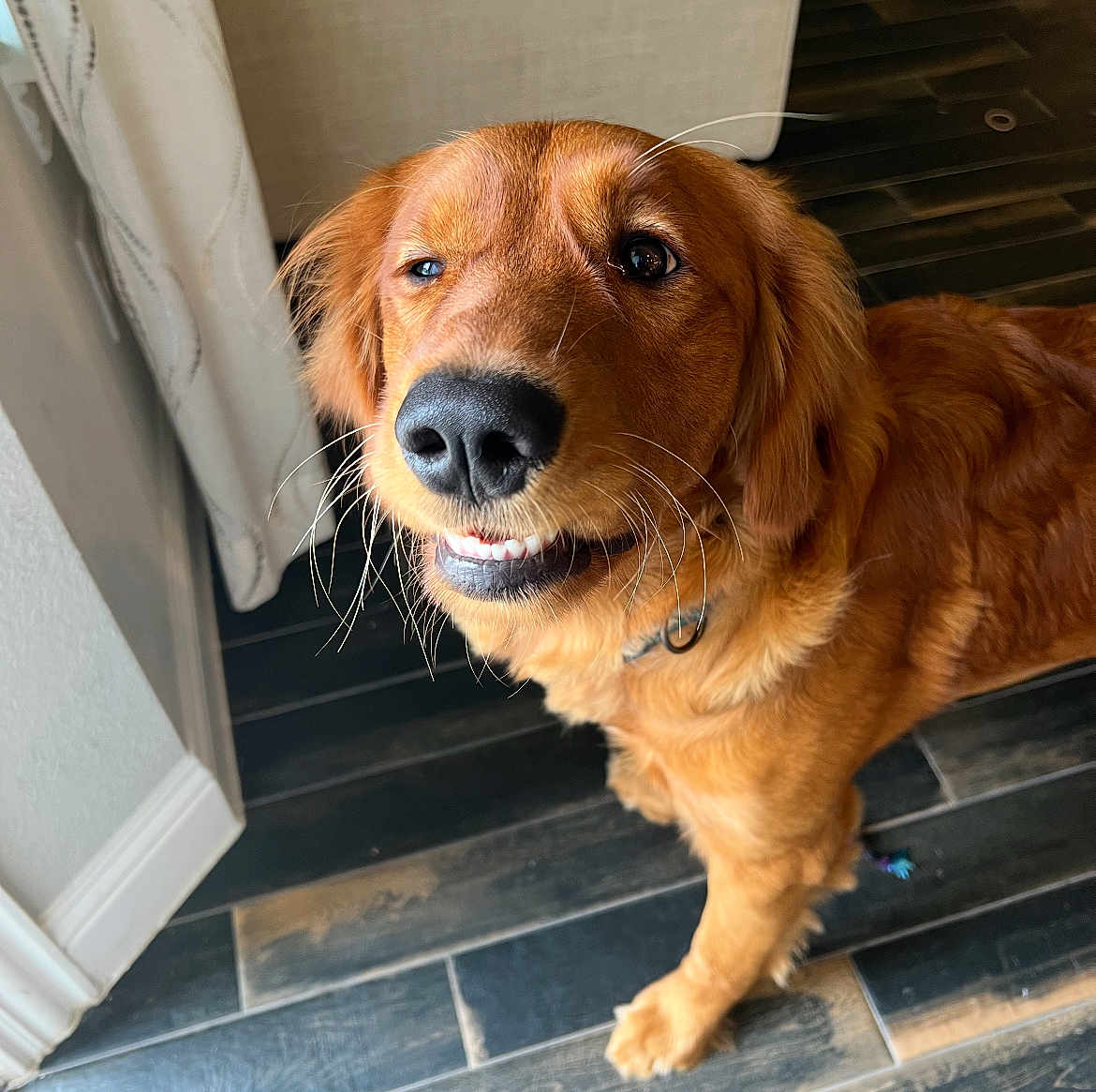Finnegan