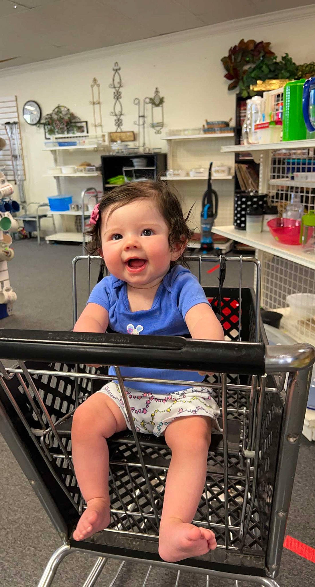 Kassidy is registered to the contest to win money with this photo: beauty, child, electric_blue, fun, happy, human_leg, joint, leisure, person, photograph, refrigerator, room, shelf, shelving, shopping_cart, sitting, smile, snapshot, standing, thigh