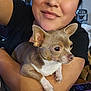 person, dog, chihuahua, pet, smiling, face, arm, indoor, closeup, holding, casual, black_shirt, table, remote_control, cute, fur, ears, eyes, home, relaxed