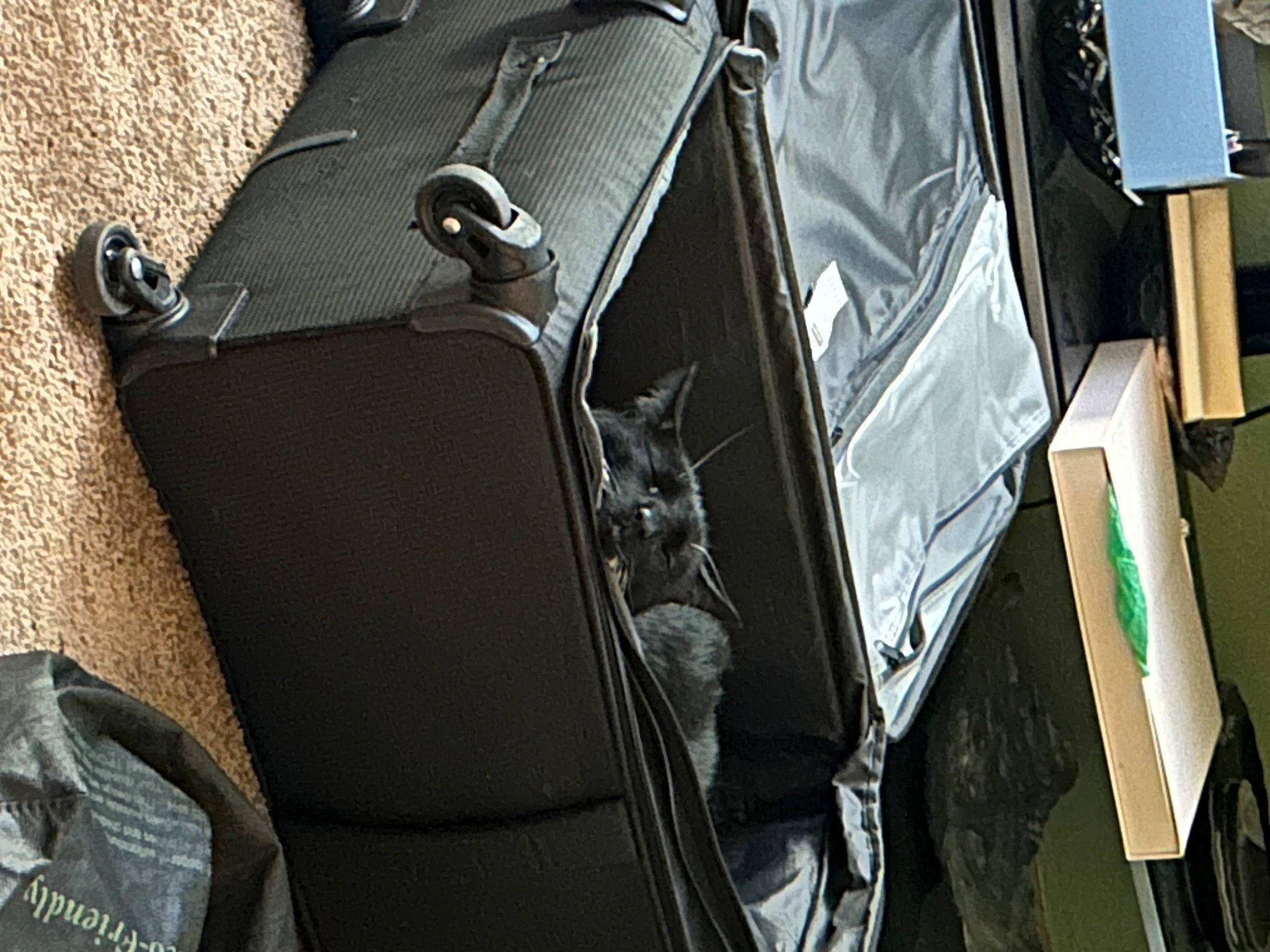 Dice joined the competition — help win amazing prizes! auto_part, automotive_design, automotive_exterior, bag, baggage, bumper, fashion_accessory, hood, leather, luggage_and_bags, metal, motor_vehicle, personal_luxury_car, strap, suitcase, tints_and_shades, travel, trunk, vehicle_door, windshield