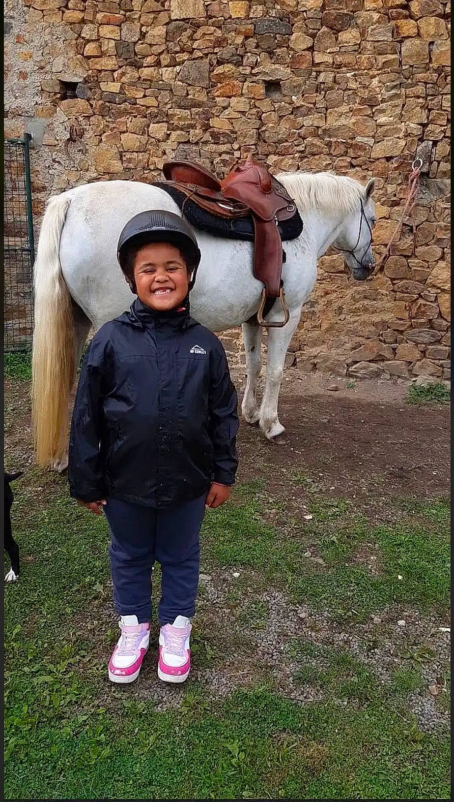 Carrie a rejoint le concours — aidez-le/la à gagner de superbes lots ! bridle, clothing, equestrianism, fawn, fun, grass, happy, headwear, horse, horse_supplies, horse_tack, joy, landscape, livestock, mare, pack_animal, person, recreation, rein, saddle