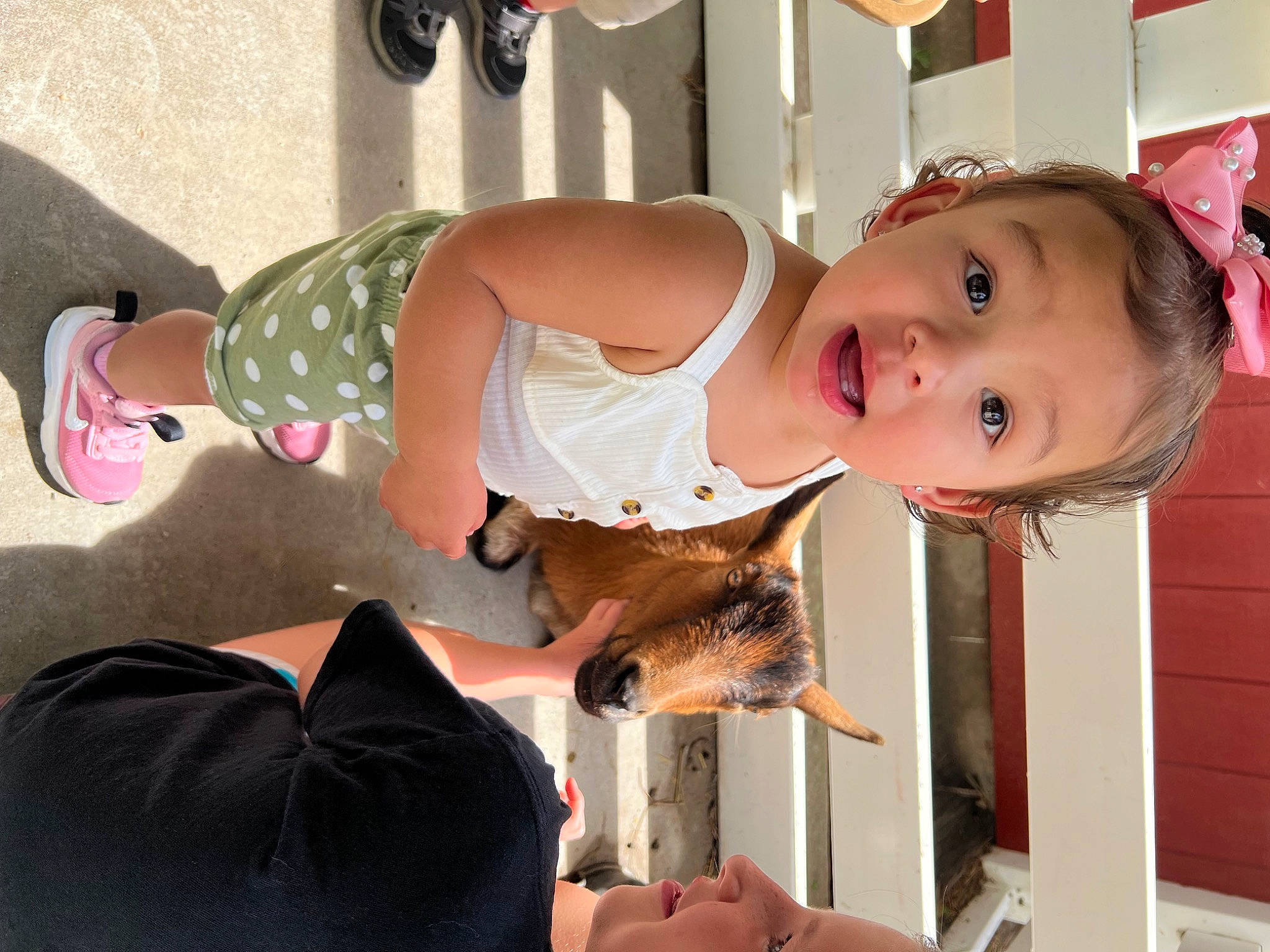 Isabella joined the competition — help win amazing prizes! abdomen, baby, baby_products, baby_toddler_clothing, chest, child, eyewear, fun, happy, human_leg, knee, leg, pattern, person, pink, smile, surprise, thigh, toddler, trunk