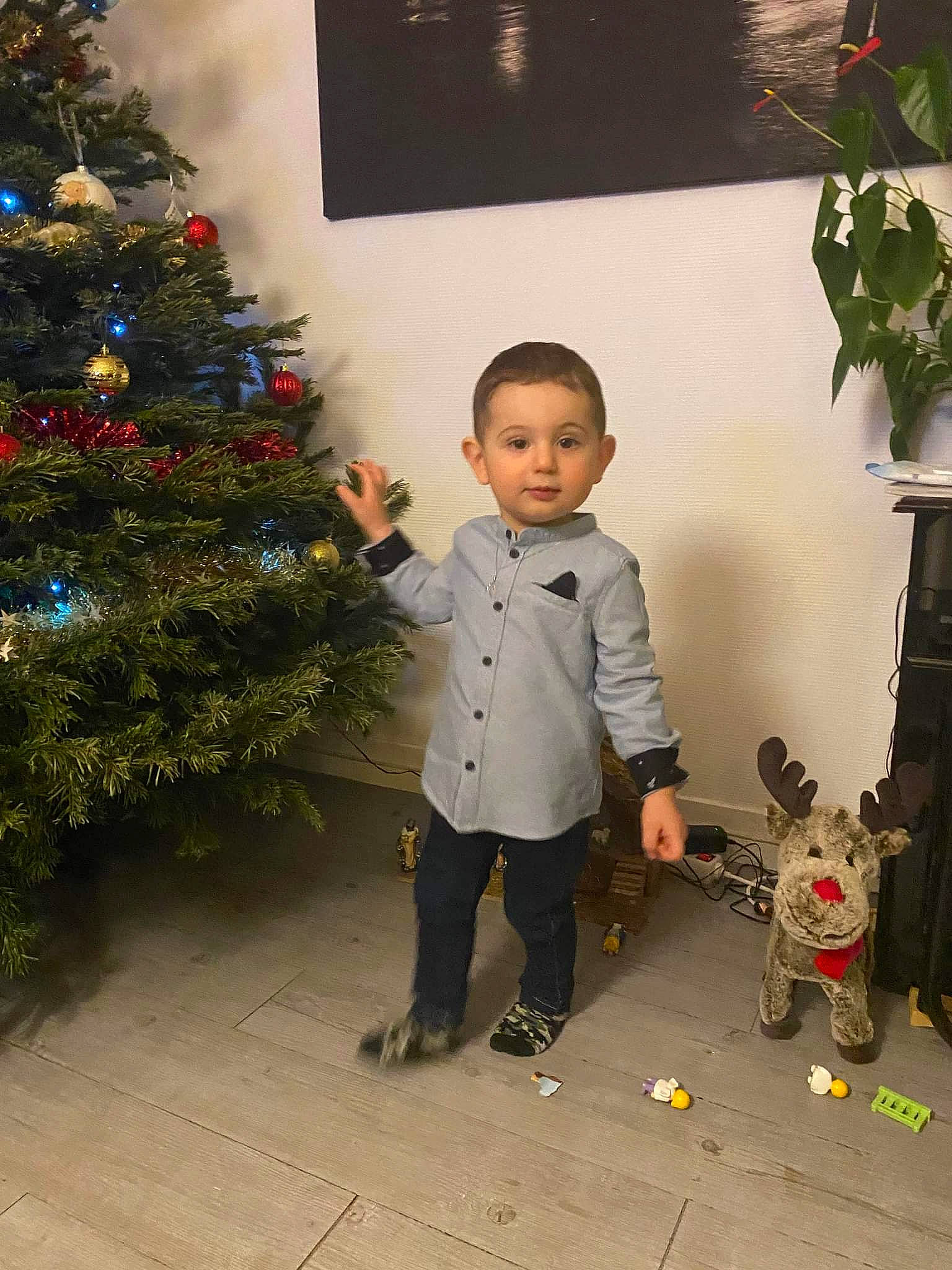 Romain a rejoint le concours — aidez-le/la à gagner de superbes lots ! child, christmas, christmas_ornament, christmas_tree, conifer, event, evergreen, flooring, fun, happy, holiday, holiday_ornament, human_body, ornament, person, plant, room, standing, toddler, toy