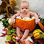 Elliot joined the competition — help win amazing prizes! baby, pumpkin, dog, autumn_leaves, gourds, fall, cute, indoor, portrait, orange, yellow, green, red, brown, pet, infant, decor, seasonal, festive, blanket