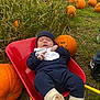 Elliot joined the competition — help win amazing prizes! baby, wheelbarrow, pumpkin, pumpkin_patch, grass, outdoor, baby_clothing, hat, slippers, nature, autumn, fall, child, person, greenery, field, cute, seasonal, playful, cozy