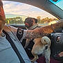 Toby joined the competition — help win amazing prizes! animal, arm, car, casual, daytime, dog, driver, happy, interior, man, pet, pug, seatbelt, sitting, steering_wheel, sunlight, tattoo, tongue_out, vehicle, window