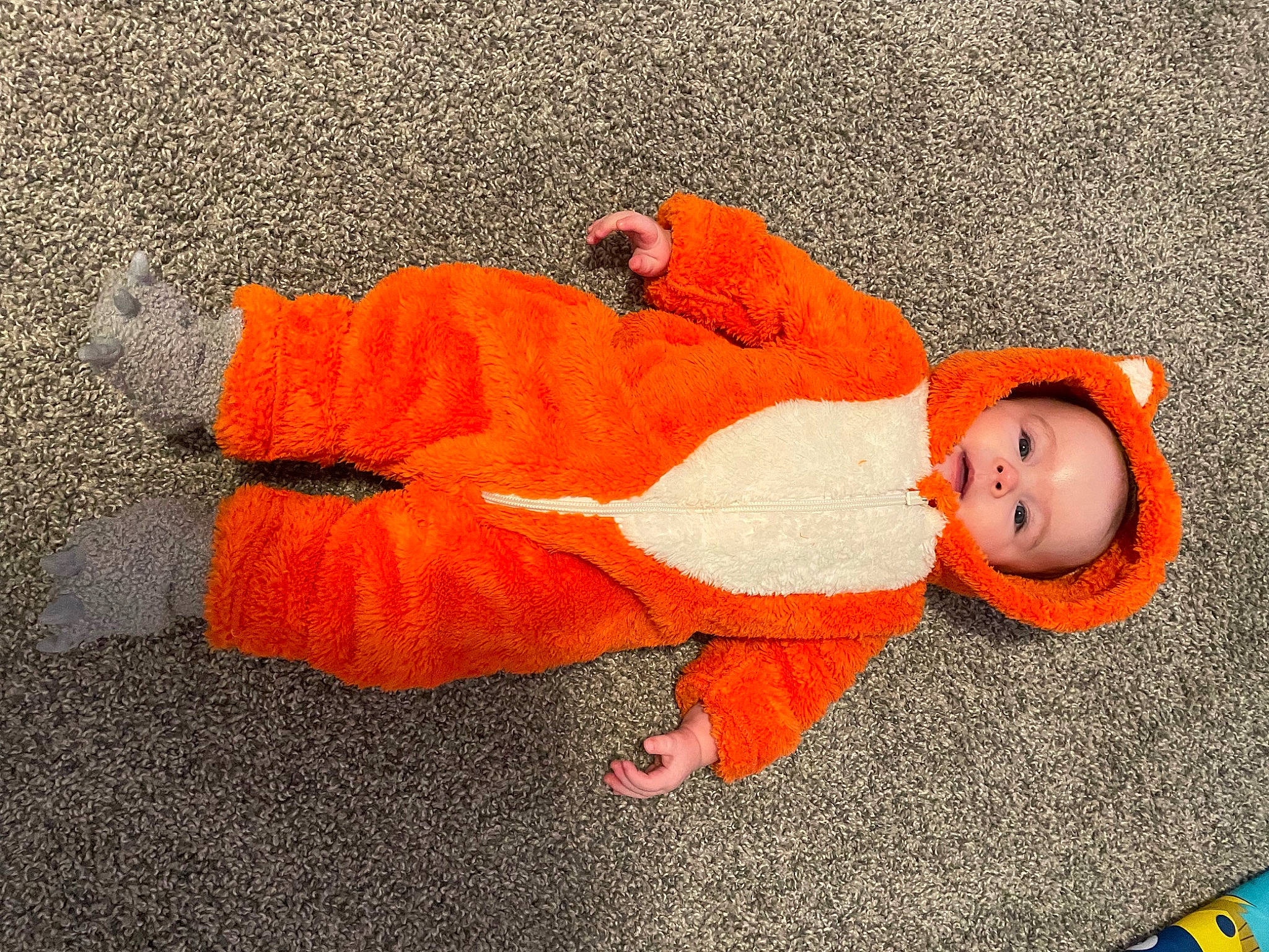 Juliana joined the competition — help win amazing prizes! asphalt, baby, baby_toddler_clothing, carmine, child, comfort, eye, floor, flooring, fun, grass, happy, human_body, mammal, orange, person, road_surface, sidewalk, sitting, toddler