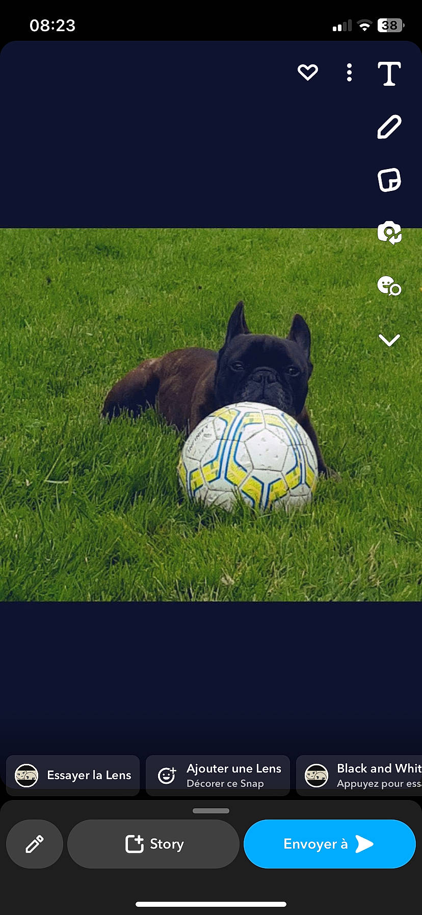 Cobra a rejoint le concours — aidez-le/la à gagner de superbes lots ! ball, ball_game, competition_event, electric_blue, flooring, font, football, football_player, grass, grassland, lawn, plant, player, soccer, soccer_ball, sports, sports_equipment, sportswear, team_sport, tree