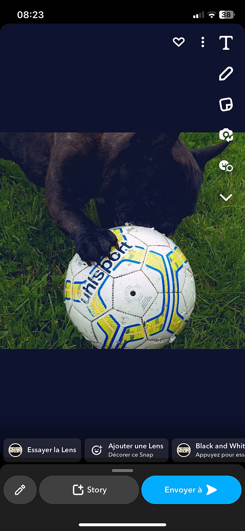 Cobra participe au concours pour gagner de l'argent avec cette photo : ball, ball_game, competition_event, font, football, football_player, grass, human_leg, logo, net, plant, play, player, playing_sports, soccer, soccer_ball, sports, sports_equipment, team_sport, world