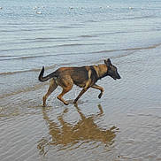 Jiminny a rejoint le concours — aidez-le/la à gagner de superbes lots !