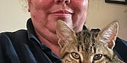 Aurus participe au concours pour gagner de l'argent avec cette photo : animal, black_shirt, cat, cozy, cute, face, feline, framed_photos, fur, glasses, hand, home, indoor, person, pet, portrait, smiling, tabby_cat, wall_art, whiskers