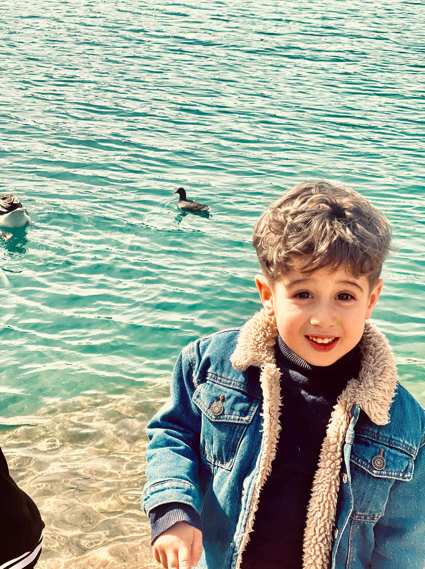 élan participe au concours pour gagner de l'argent avec cette photo : child, boy, smile, curly_hair, denim_jacket, water, lake, ducks, outdoor, nature, casual_clothing, happy, portrait, young, people, animal, bird, sunlight, face, shore