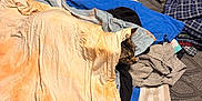 Momma is registered to the contest to win money with this photo: cat, clothes, folded_clothes, bed, laundry, shirt, peeking, striped_pillow, towel, fabric, pile, textile, indoor, cozy, resting, hidden, pet, tabby_cat, soft, casual