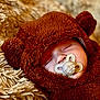 baby, sleeping, pacifier, fuzzy, brown, bear_suit, ears, blanket, soft, cuddle, infant, closeup, cute, face, child, warm, cozy, adorable, portrait, resting