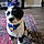 Caden