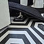 Trigger is registered to the contest to win money with this photo: cat, black_and_white, floor, mat, peeking, tile_pattern, indoor, animal, pet, hiding, curious, whiskers, black_mat, geometric, patterned_floor, cute, face, fur, eyes, home