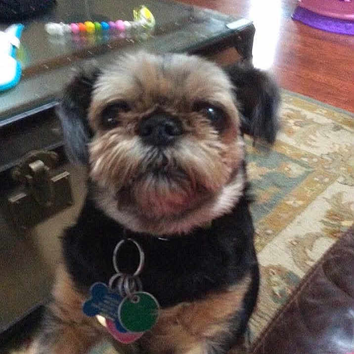 Bernie