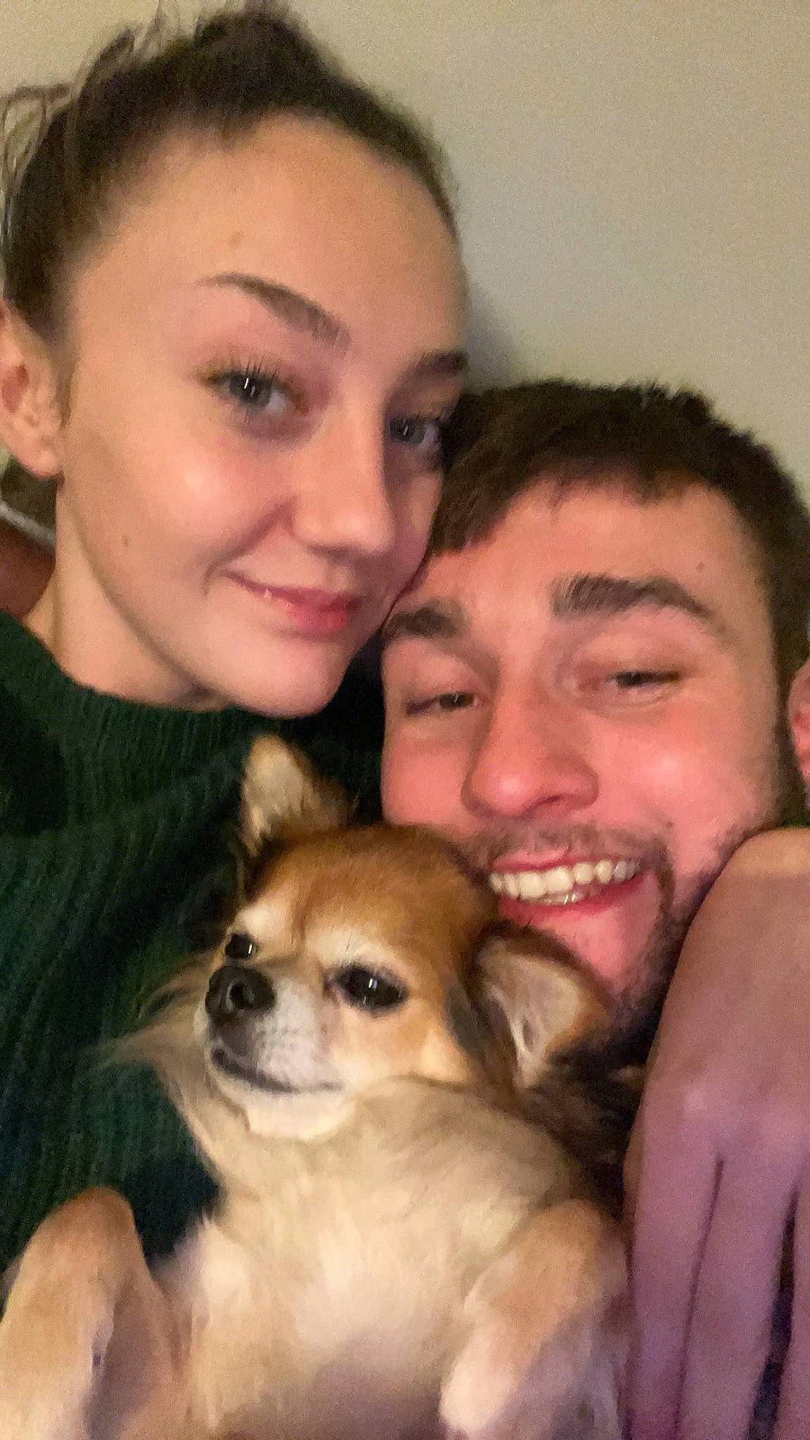 Hector is registered to the contest to win money with this photo: beard, carnivore, companion_dog, dog, dog_breed, ear, event, eyebrow, eyelash, fawn, fur, gesture, hairstyle, happy, iris, nose, organ, skin, smile, toy_dog