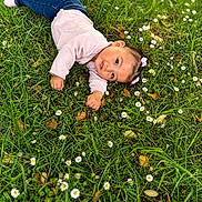 Nourhane a rejoint le concours — aidez-le/la à gagner de superbes lots ! baby_hair_bows, blue_jeans, casual_clothing, child, child_portrait, cute, daylight, flowers, grass, greenery, innocence, lying_down, nature, outdoor, pink_sweater, playful, relaxed, small_flowers, toddler, young_child