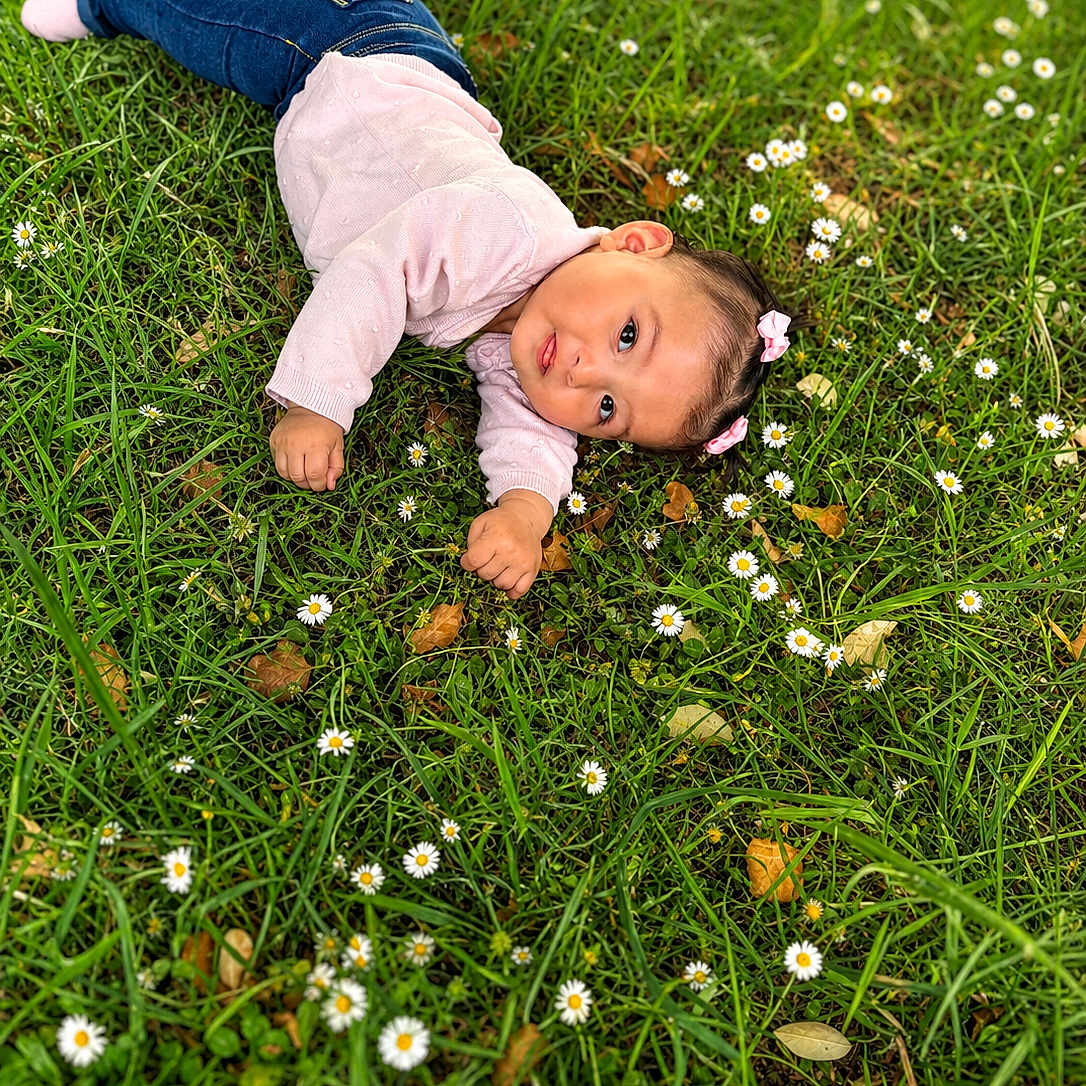 Nourhane a rejoint le concours — aidez-le/la à gagner de superbes lots ! baby_hair_bows, blue_jeans, casual_clothing, child, child_portrait, cute, daylight, flowers, grass, greenery, innocence, lying_down, nature, outdoor, pink_sweater, playful, relaxed, small_flowers, toddler, young_child
