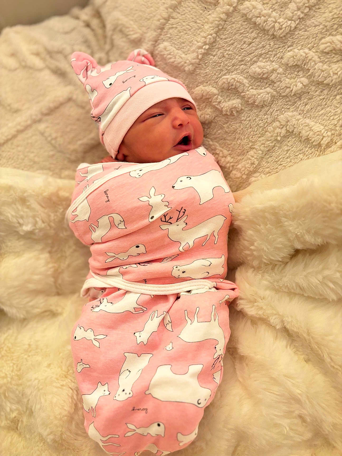Nourhane a rejoint le concours — aidez-le/la à gagner de superbes lots ! newborn, baby, swaddle, pink, animal_print, hat, soft_blanket, cozy, cute, infant, sleeping, resting, portrait, child, warm, fuzzy, headwear, wrapped, peaceful, indoors