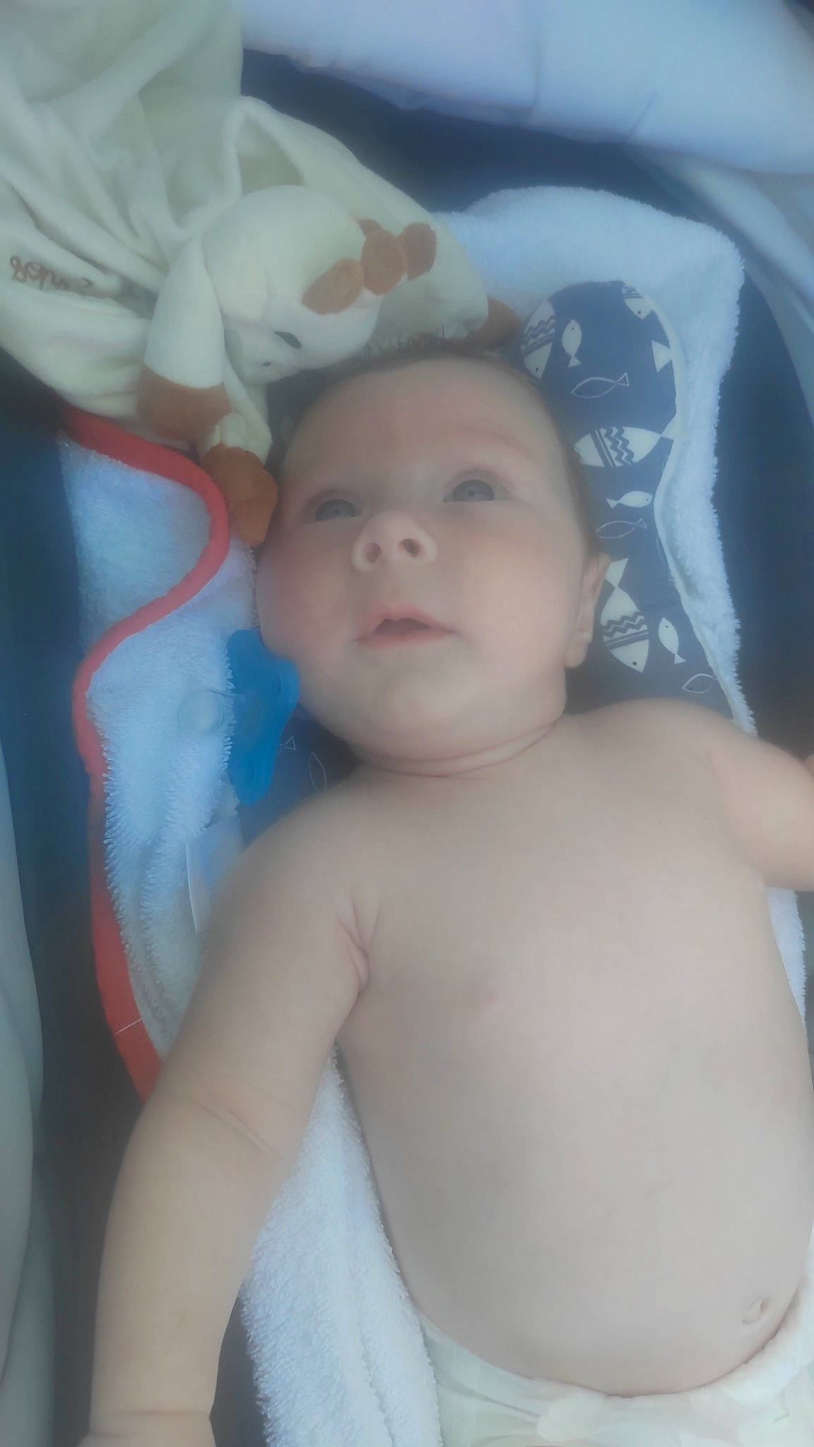 Priam a rejoint le concours — aidez-le/la à gagner de superbes lots ! baby, cheek, chin, comfort, ear, eyebrow, eyelash, finger, forehead, hairstyle, head, iris, lip, mouth, muscle, neck, nose, organ, person, skin