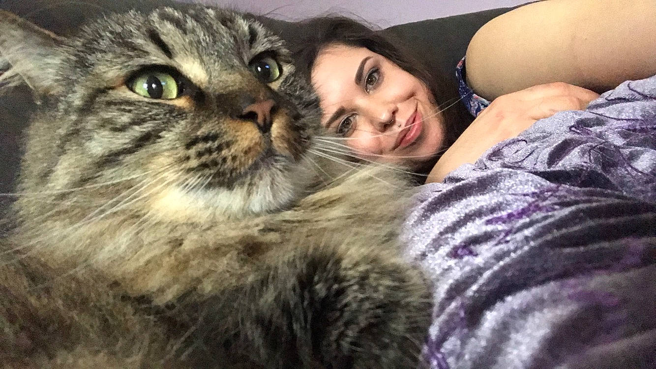 Anakin is registered to the contest to win money with this photo: american_curl, american_shorthair, asian, carnivore, cat, domestic_long_haired_cat, domestic_short_haired_cat, european_shorthair, eye, felidae, fur, nose, photography, pixie_bob, selfie, siberian, small_to_medium_sized_cats, snout, tabby_cat, whiskers