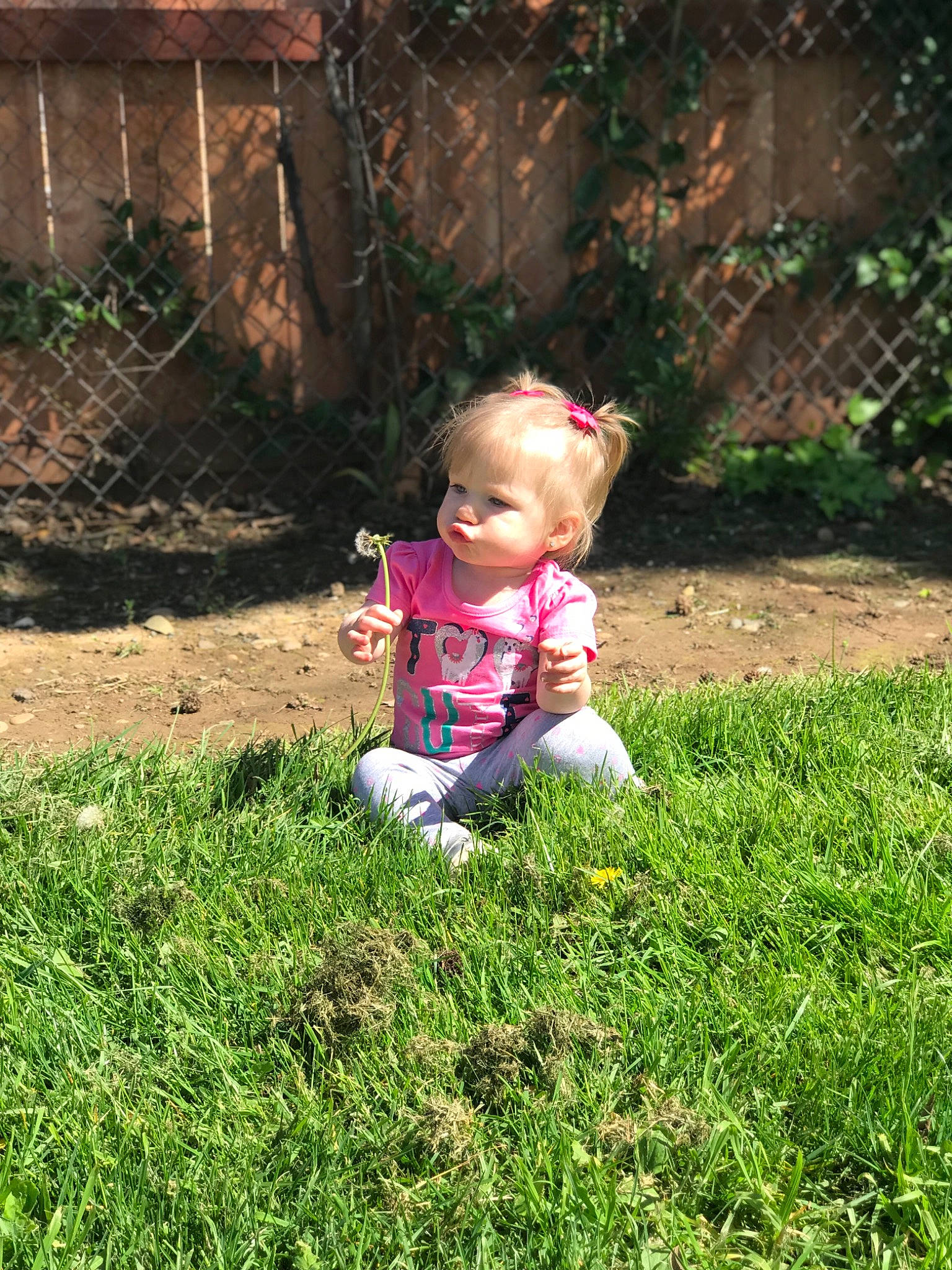 Amelia is registered to the contest to win money with this photo: child, garden, grass, grass_family, lawn, meadow, person, plant, play, toddler, yard