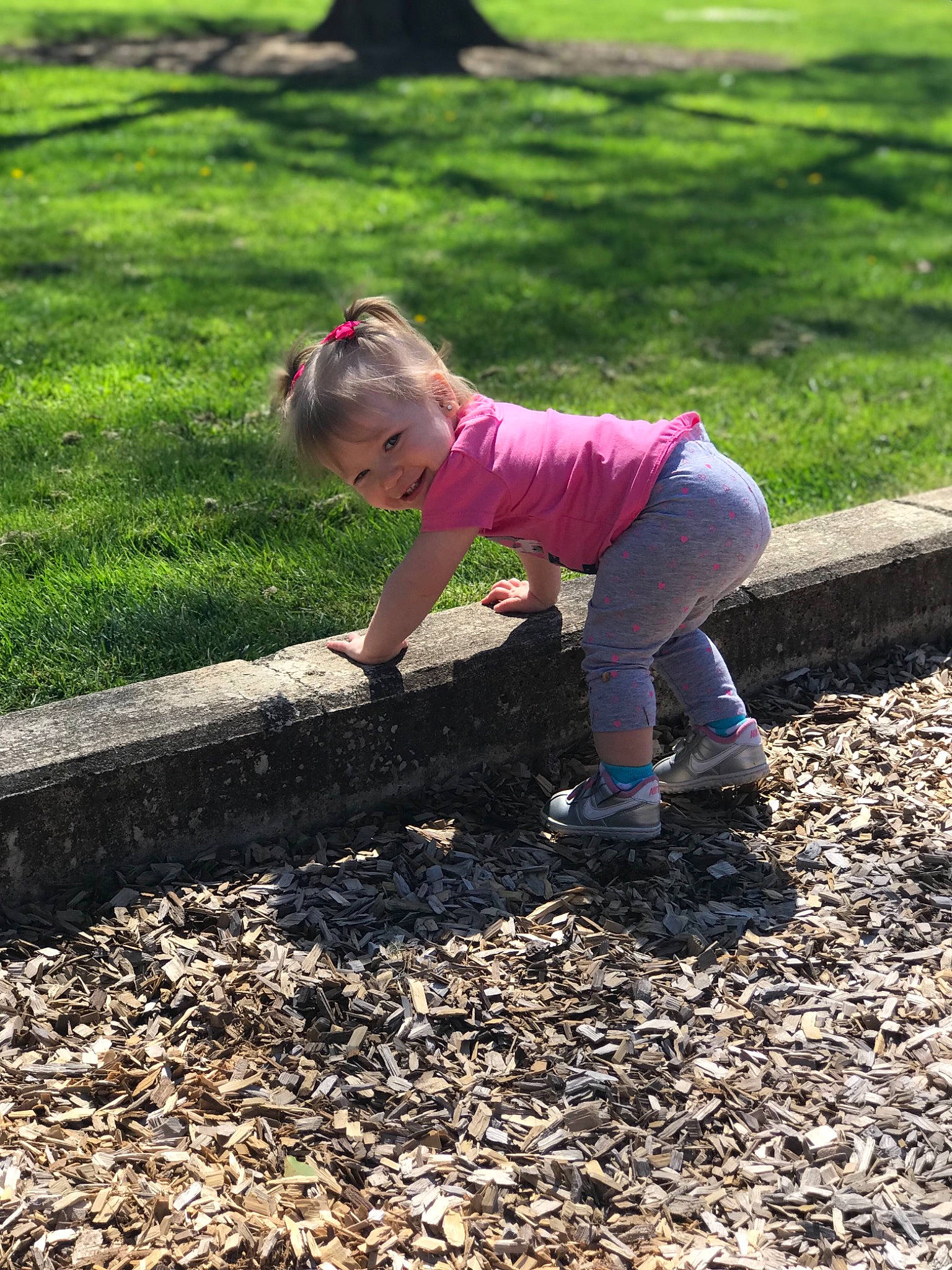Amelia joined the competition — help win amazing prizes! grass, lawn, leaf, person, plant, play, soil, sowing, tree