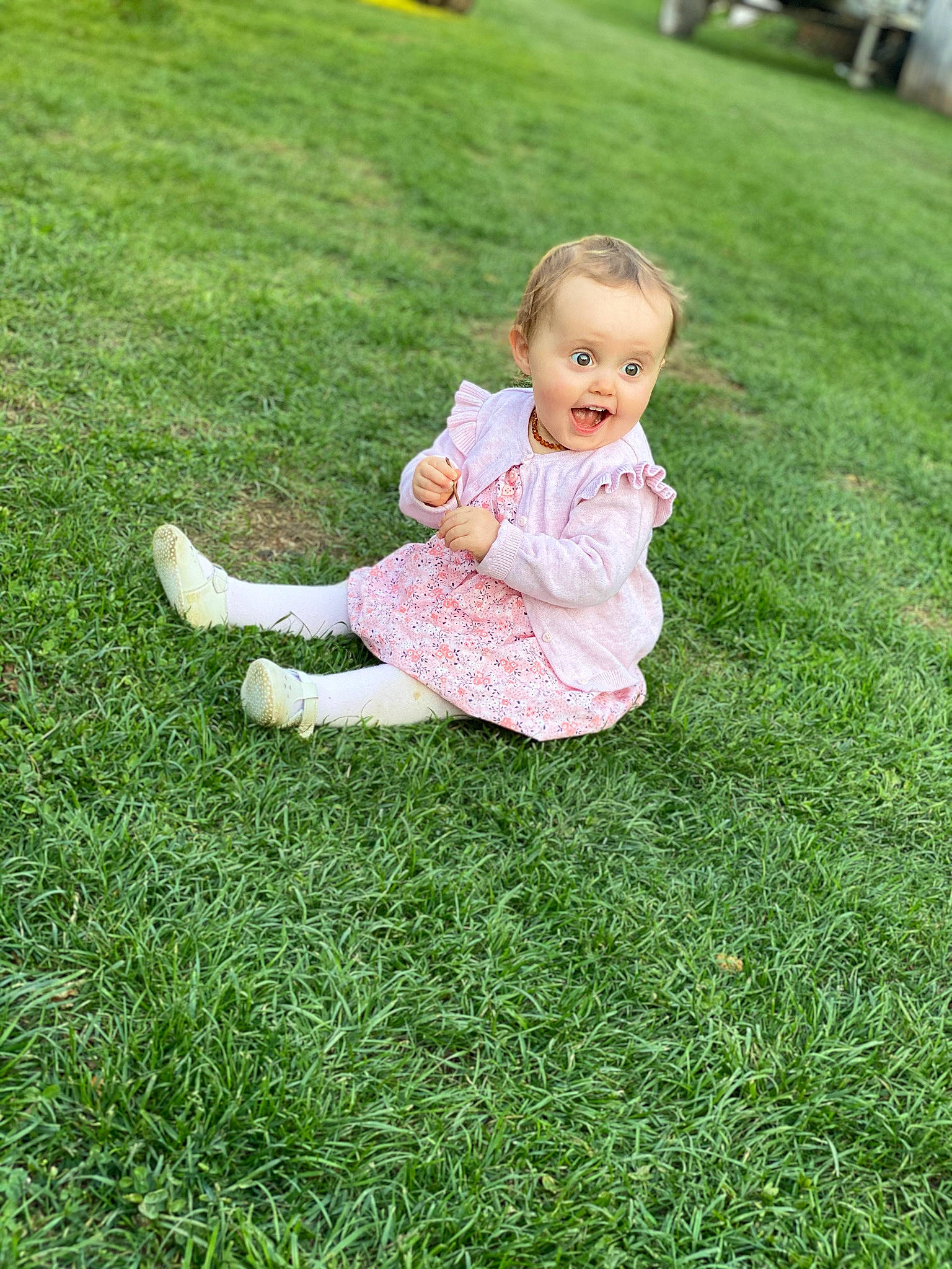 Manon participe au concours pour gagner de l'argent avec cette photo : baby, baby_toddler_clothing, botany, dress, flooring, grass, grass_family, grassland, groundcover, happy, head, lawn, leaf, mammal, meadow, people_in_nature, person, plant, recreation, summer
